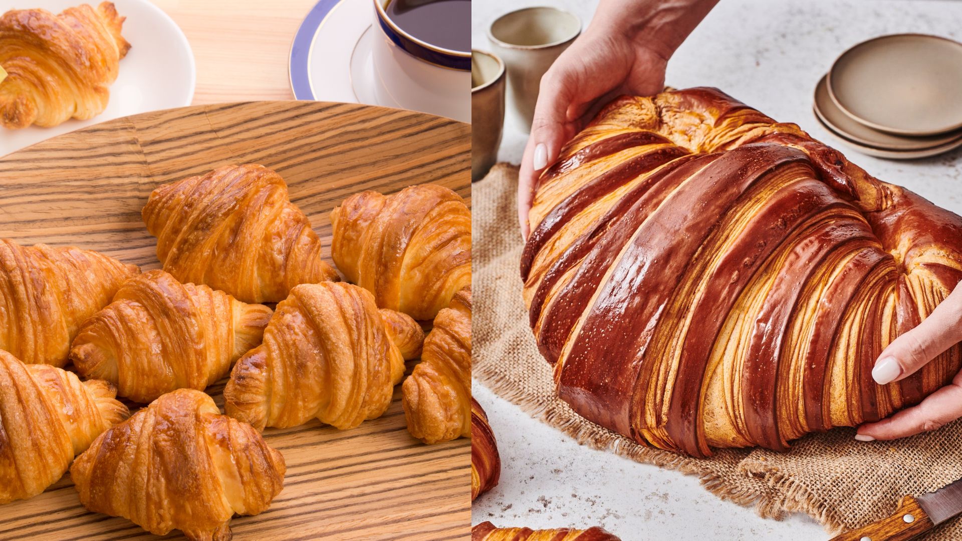 Các loại bánh croissant mini và big size