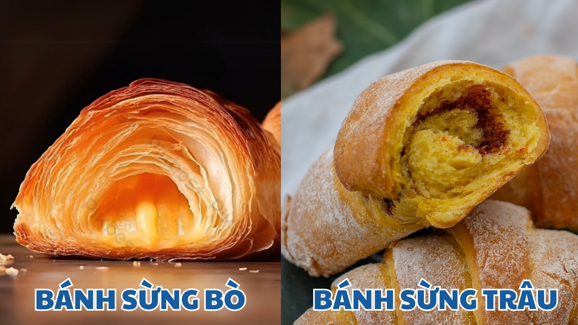 Kết cấu của bánh sừng bò và bánh sừng trâu