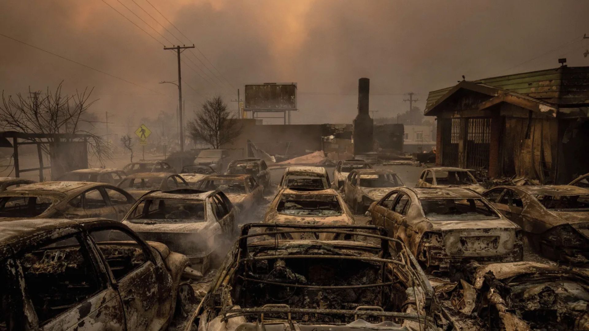 Hollywood Hills Fire Spreads to Los Angeles on January 8, 2025 (3)