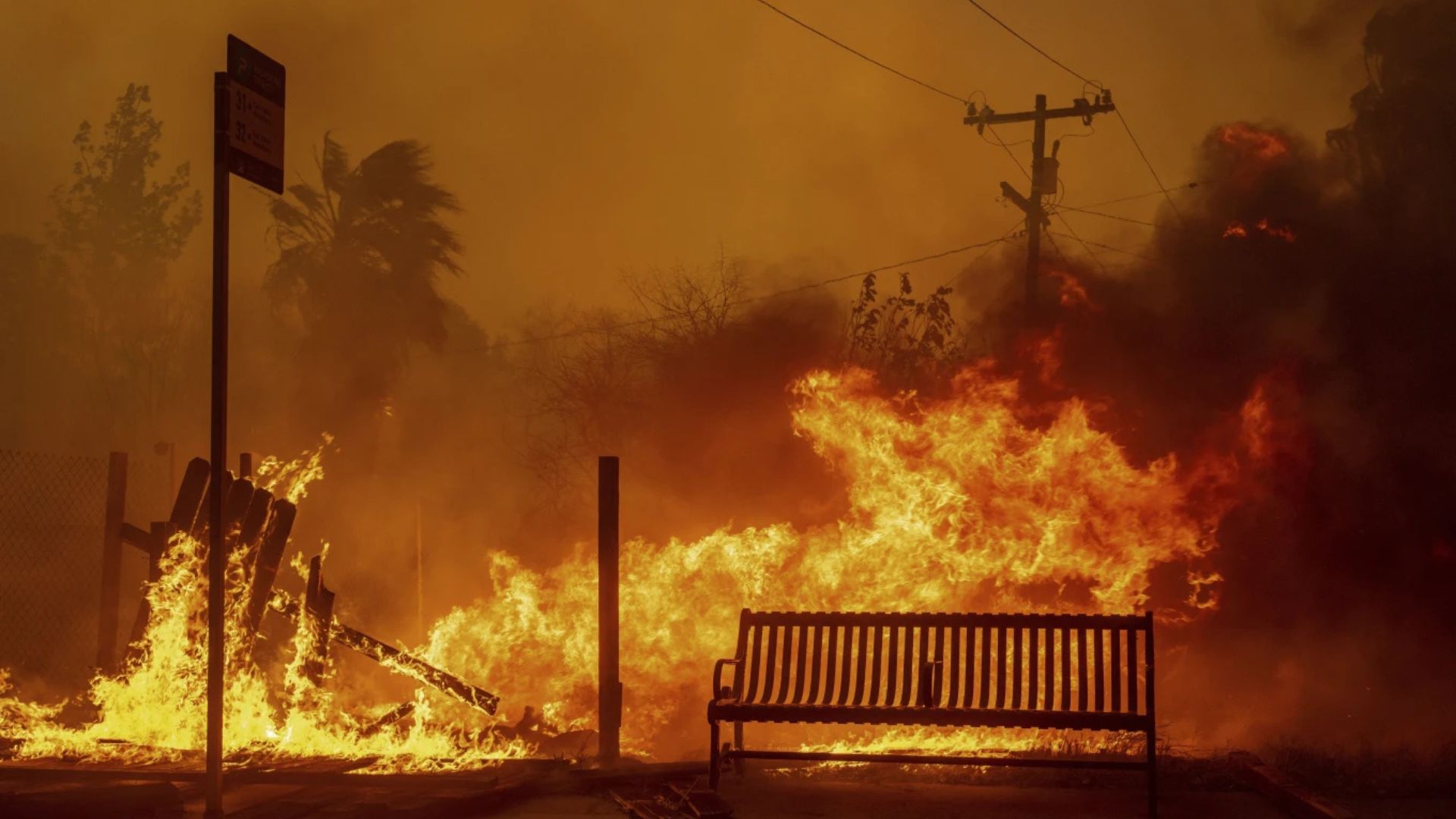 Hollywood Hills Fire Spreads to Los Angeles on January 8, 2025 (8)