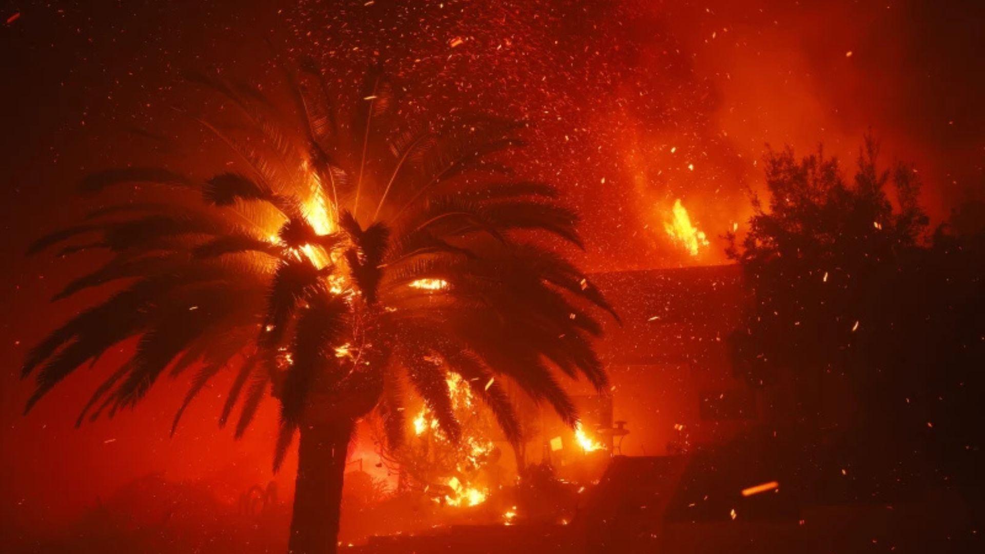 Hollywood Hills Fire Spreads to Los Angeles on January 8, 2025