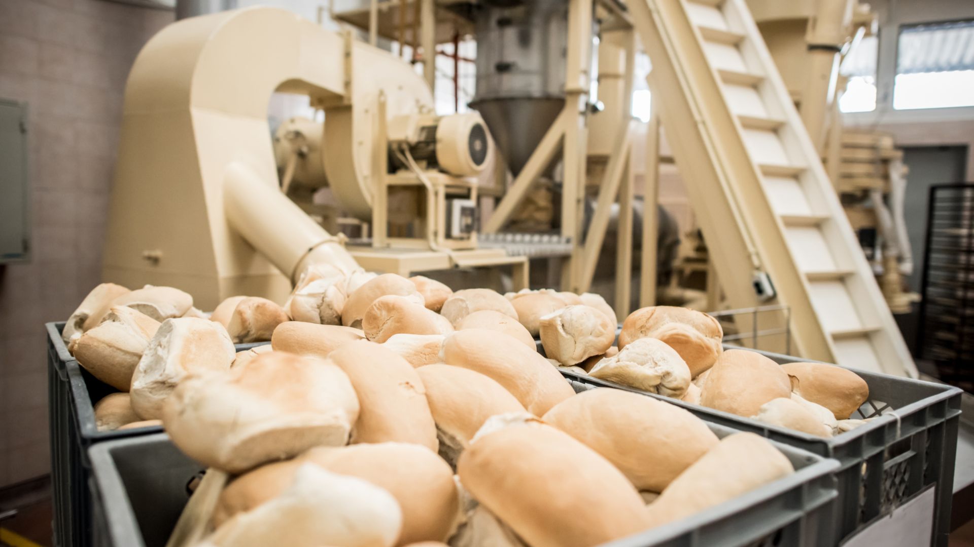 nhà máy phân phối bánh mì chà bông - Pork floss bread distribution factory