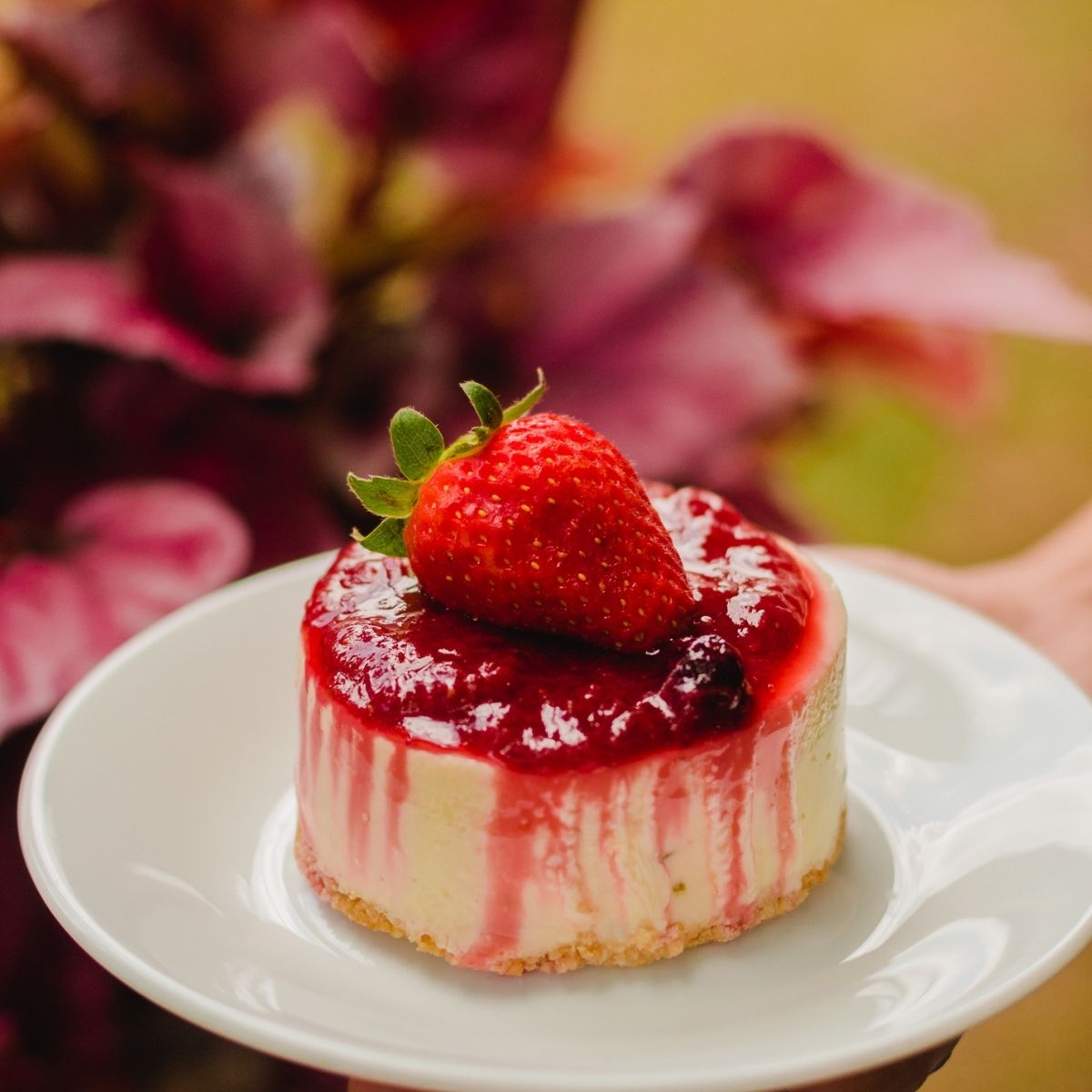 Nguồn Hàng Cheesecake Giá Sỉ Cho Doanh Nghiệp B2B Wholesale Cheesecake Supplier B2B