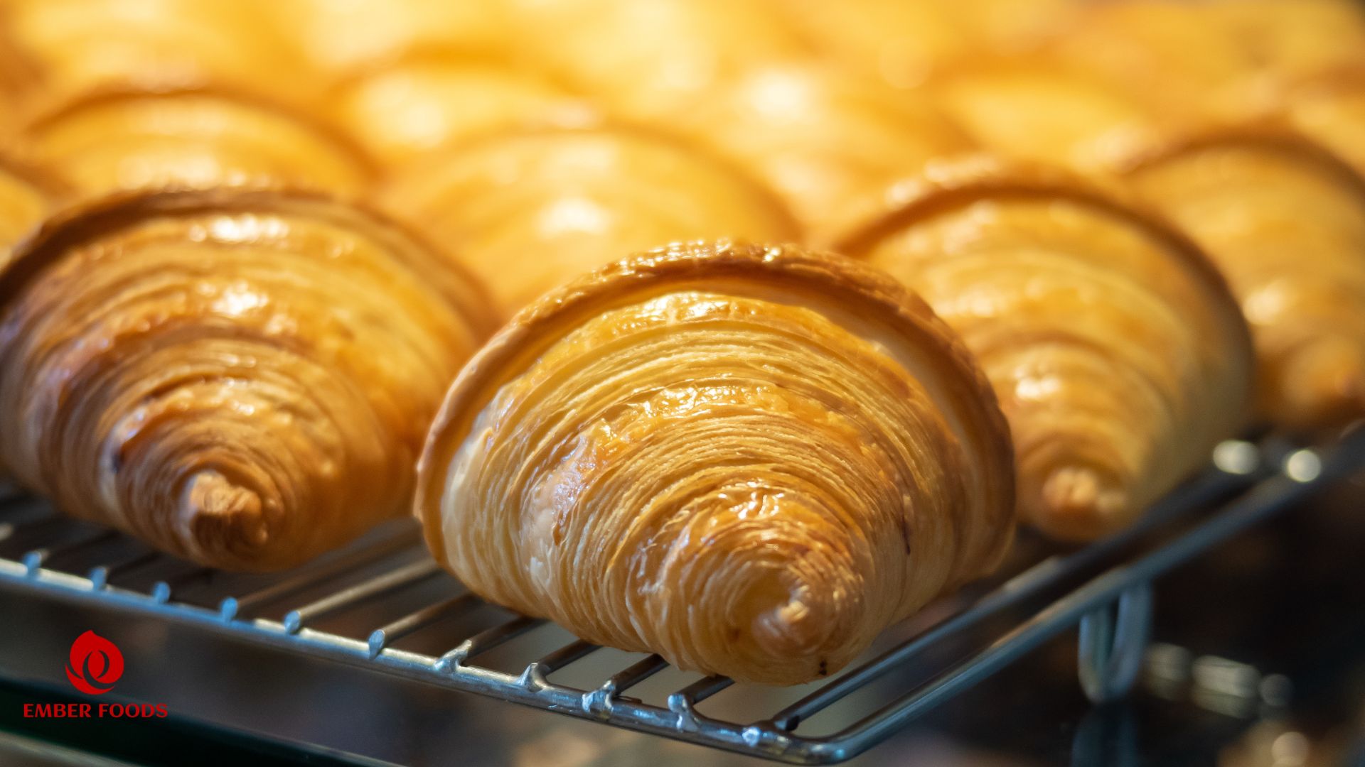 Croissant bơ thực vật và động vật giá sỉ cho căn tin