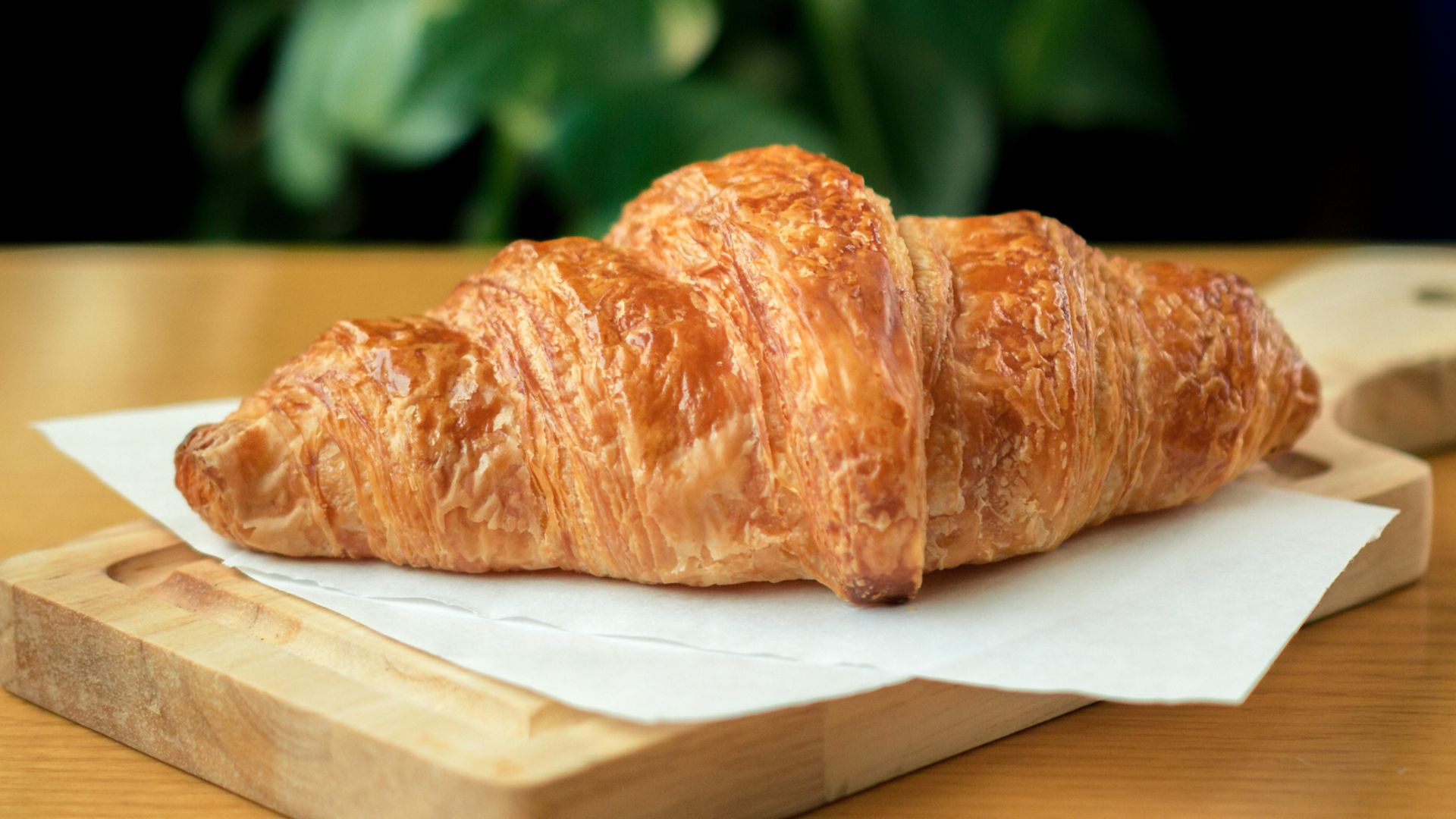 bánh Croissant Dễ dàng bảo quản và tiện lợi - Croissant_ Easy to store and convenient
